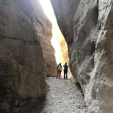 Carolina Couette-café