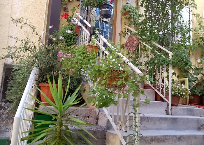 Carolina Fara San Martino